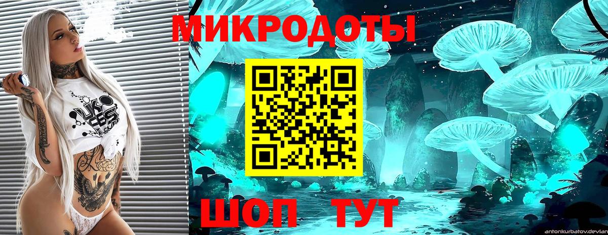 Галлюциногенные грибы мухоморы  купить наркоту  Северск  Вход с VPN 