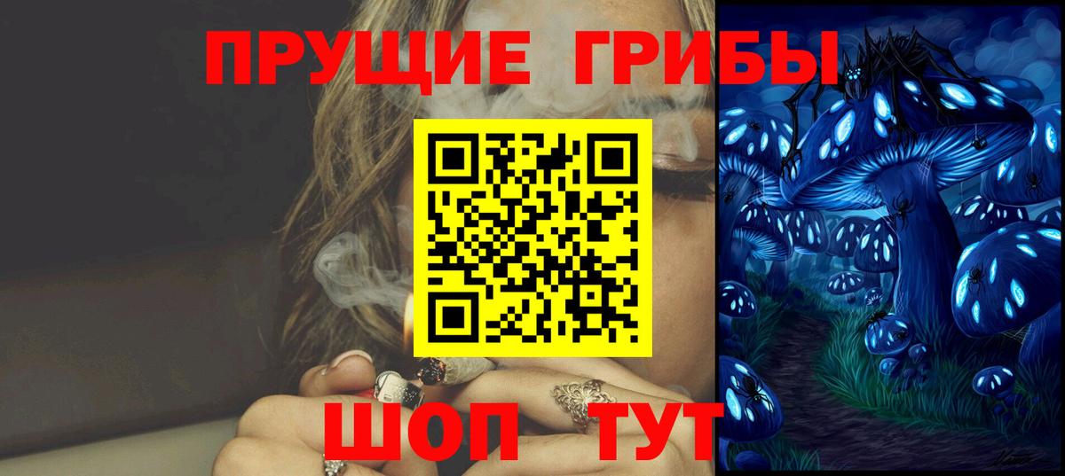 Галлюциногенные грибы Psilocybine cubensis Северск